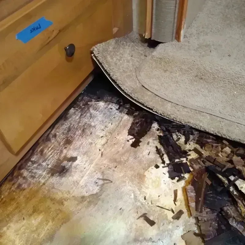 Wood Floor Water Damage in Marlboro Meadows, MD